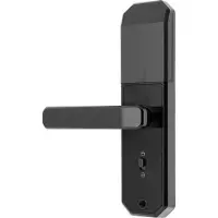 StarTech.com Smartes Türschloss - Fingerabdruck & PIN - 200 Fingerabdrücke/200 Codes - 4×AAA Batterien enthalten - Zinklegierung - FAR 0,005 % - Schwarz