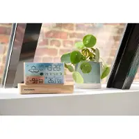 Thomson CT600 Wetterstation aus Holz mit drahtlosem Sensor und zwei Alarmen