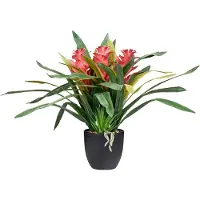 Beliani Guzmania Atilla