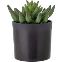 Bloomingville Kunstpflanze "Echeveria" in Grün - (H)14 cm - onesize