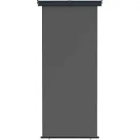 vidaXL Balkon Seitenmarkise 100 x 250 cm 100% Polyester Eisen Stahl
