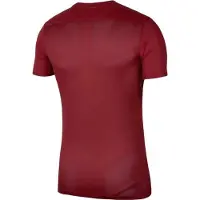 Nike - "Dry Park VII" Trikot für Herren kurzärmlig (Weinrot)