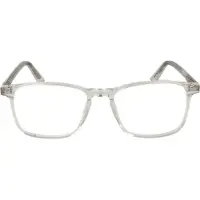 Taylor Morris Brillenfassung SW16 C4 52