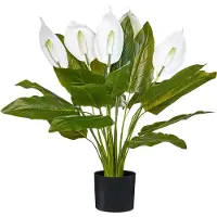 Beliani Spathphyllum