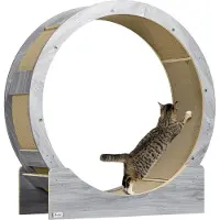 PawHut Katzenlaufrad, Laufrad für Katzen, 91 cm, mit Bremse, Grau