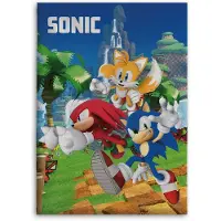 Sonic das Igelvlies Bettdecke 100x140cm