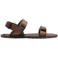 Xero Shoes D-trail Sandalen Braun EU 43 Mann Braun EU 43