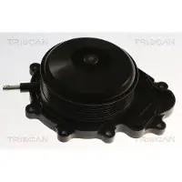 TRISCAN Wasserpumpe 8600 23019V