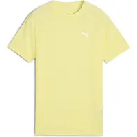 Puma T-Shirt Evostripe B