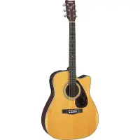 Yamaha FX370C Natural