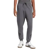 Adidas Herren Hose Future Icons 3-Streifen