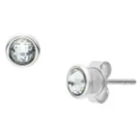Skagen SKJ1893040 Ohrstecker