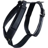 Kentucky Active Velvet Hundegeschirr
