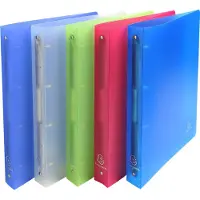 Exacompta 51369E A4 Ringbuch Multicolour