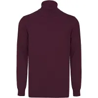 Felix Hardy Pullover Rollkragenpullover
