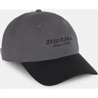 Dickies Mützen TWILL DAD HAT
