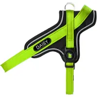My Family Memopet Id Personalizable Y Hundegeschirr