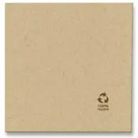 Ekoe Plastic Free Solutions Ekoe-Servietten aus 2-lagigem Havanna-Recyclingpapier, 40 x 40 cm