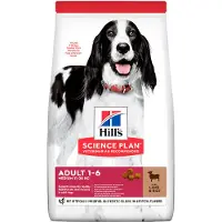 Hill's Pet Nutrition Adult Medium mit Lamm & Reis Hundefutter | 2,5 kg