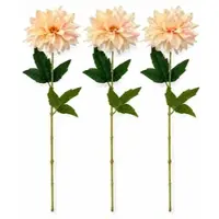 Layba Künstliche Dahlie 3er-Set Creme Apricot 60 cm