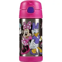 Thermos Funtainer Straw Bottle Disney