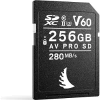 Angelbird AVpro SDXC 256GB UHS-II V60 170MB