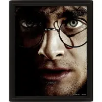 Pyramid HARRY POTTER (HARRY VS VOLDEMORT) - FRAMED