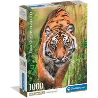 Clementoni 37108, 14 Jahr(e)