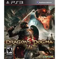 S-Dragons Dogma