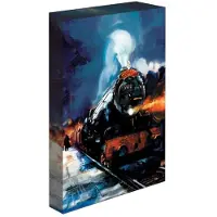 Pyramid Light Up Canvas Harry Potter (Hogwarts Express) 30x40