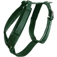 Kentucky Active Velvet Hundegeschirr