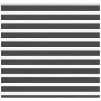 vidaXL Doppelrollo Schwarz 155x100 cm Stoffbreite 150,9 cm Polyester