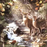 Home Fashion , Deers on a Creek, Lunch-Servietten aufgefaltetes Maß 33 cm x 33 cm, im Viertelfalz, 20 Stück pro Pack, 12 Pack pro Karton