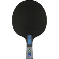 Butterfly Tischtennisschläger Dang Qiu DQX2