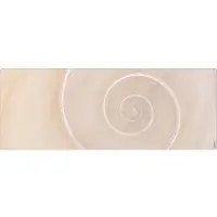 MySPOTTI Badrückwand aqua Schnecke 120x45 cm