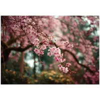 WALLARENA FOTOTAPETE Blumen Bäume Rosa 350x250 cm