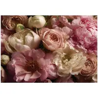 WALLARENA FOTOTAPETE Blumen Pfingstrosen Rosa 250x175 cm