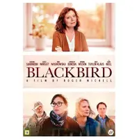 SMD Blackbird