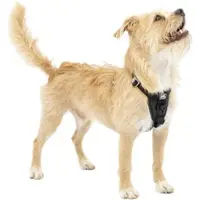 Petsafe Kurgo Tru-Fit Autosicherheitsgeschirr für Hunde, Größe XS, Schwarz