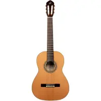 Ortega R20GRG Traditional Series 4/4 Konzertgitarre