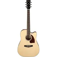 Ibanez PF16WCE Natural High Gloss