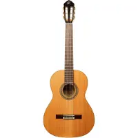 Ortega R20GRG-L - Konzertgitarre Lefthand