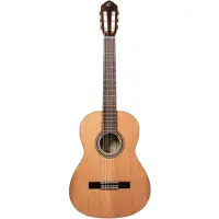 Ortega R19G - Konzertgitarre
