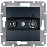 Schneider Electric Enddose RTV ohne Rahmen, anthrazit Schneider Asfora EPH3300171