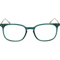 Taylor Morris Brillenfassung TM06 C4 49