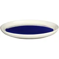 Asa selection Brotteller Variété du Soleil La Mer 13 cm
