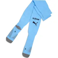 Puma SFV Plain Socks Replica GK