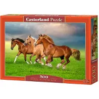 Castorland B-54084, 500 Stück(e), Tiere, 8 Jahr(e)