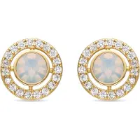 Luxenter Ohrringe mit glänzendem Zirkonia 18k Gold Finish - Riashe