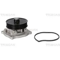 TRISCAN Wasserpumpe 8600 23103